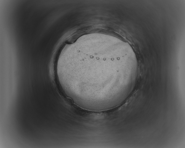 X0000100960245200807151404