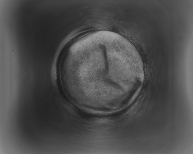 X0000100960246200807151404