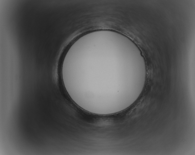 X0000100960248200807151404