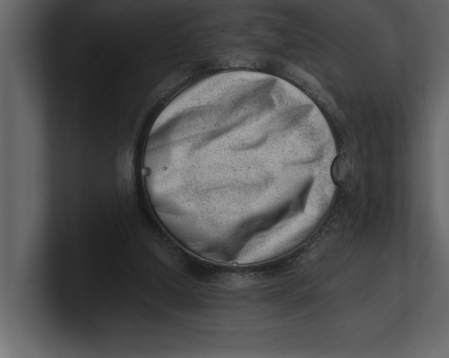 X0000100960250200807151404