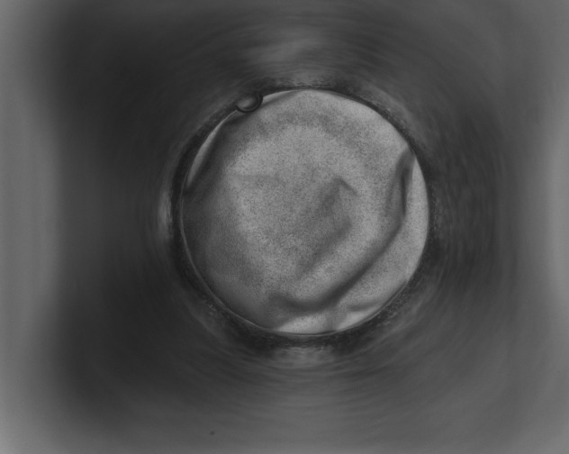 X0000100960251200807151404