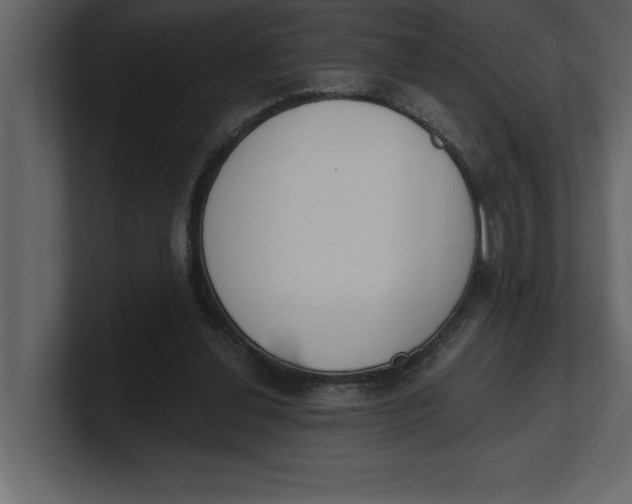 X0000100960252200807151404