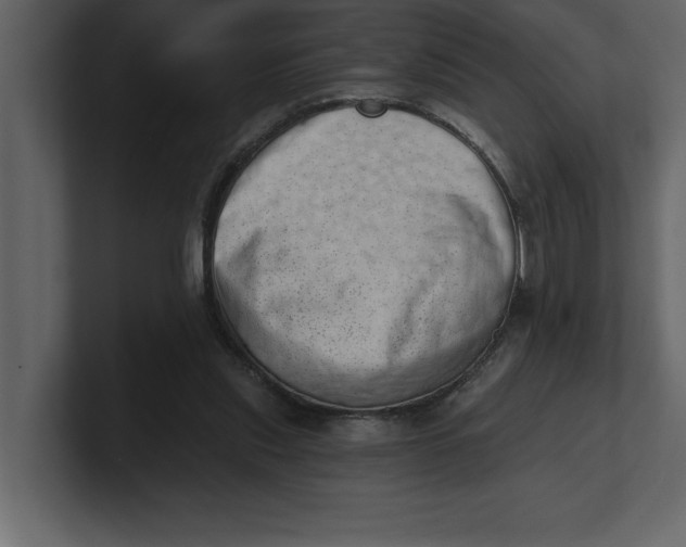 X0000100960253200807151404