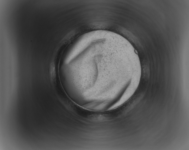 X0000100960254200807151404