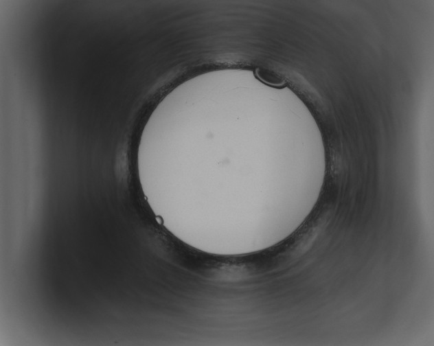 X0000100960256200807151404