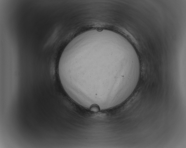 X0000100960257200807151404