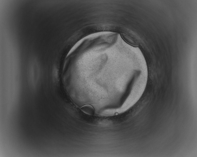 X0000100960258200807151404