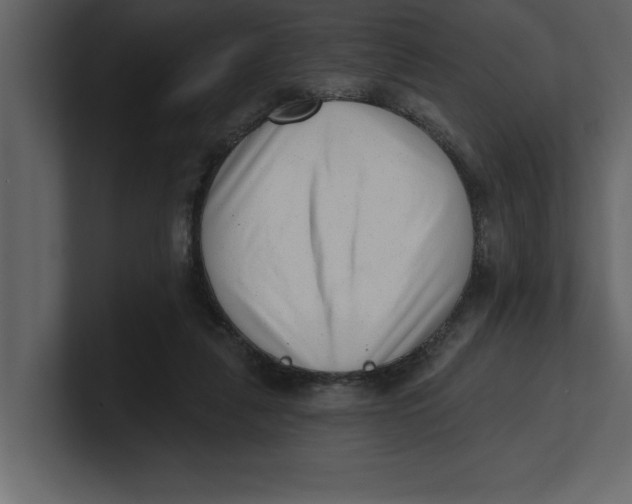 X0000100960259200807151404