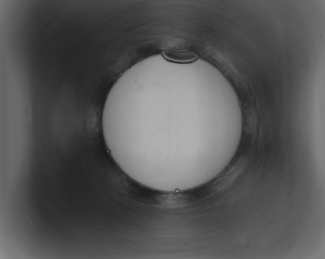 X0000100960273200807151405