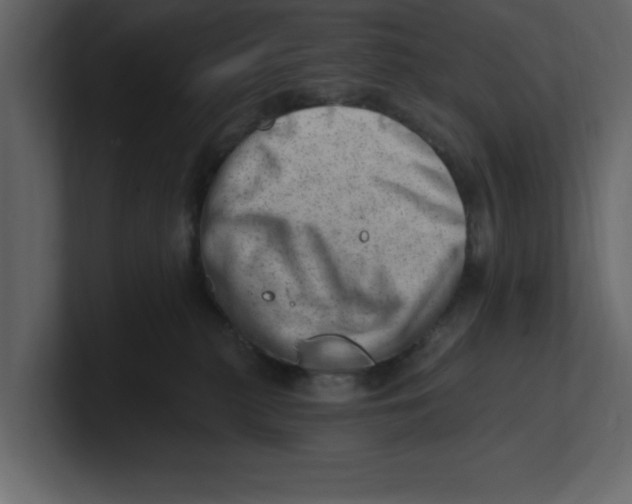 X0000100960279200807151405