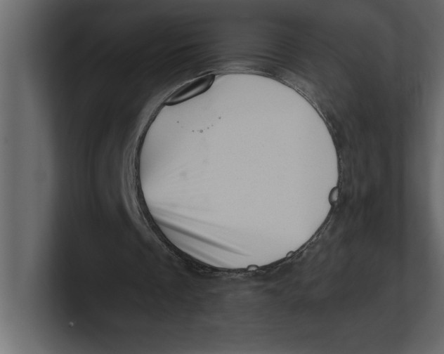 X0000100960289200807151404