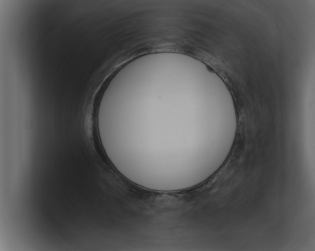 X0000100960290200807151404