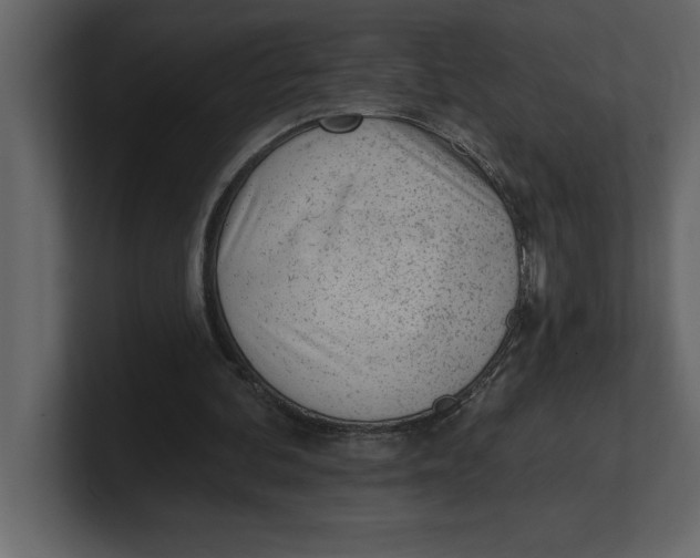 X0000100960292200807151404