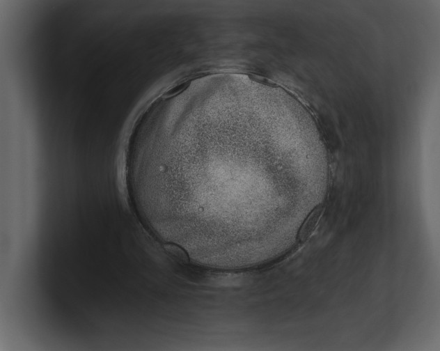 X0000100960293200807151404