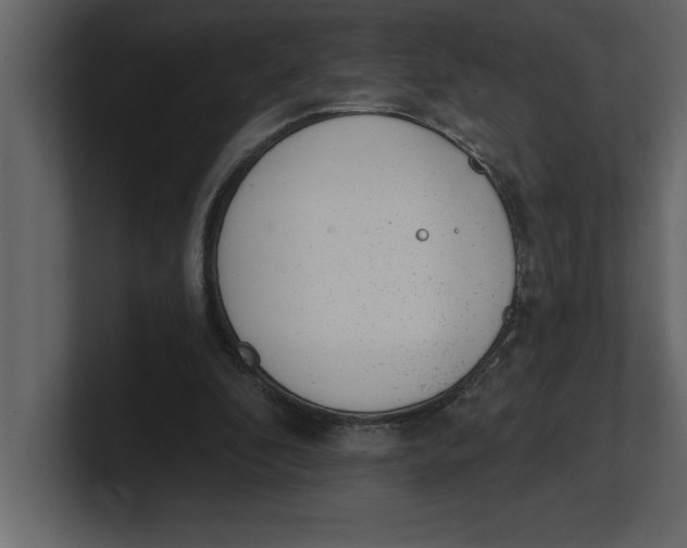 X0000100960296200807151404