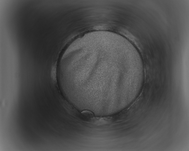 X0000100960297200807151404