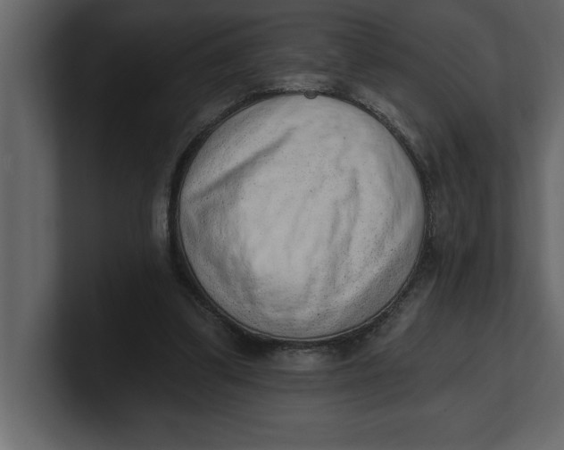 X0000100960299200807151404