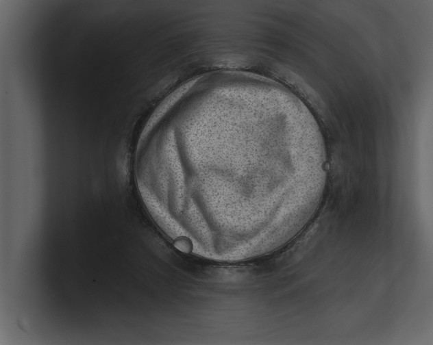 X0000100960305200807151404