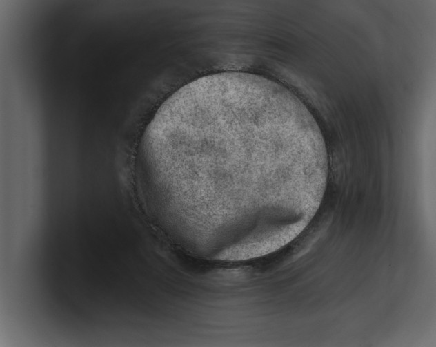 X0000100960307200807151404