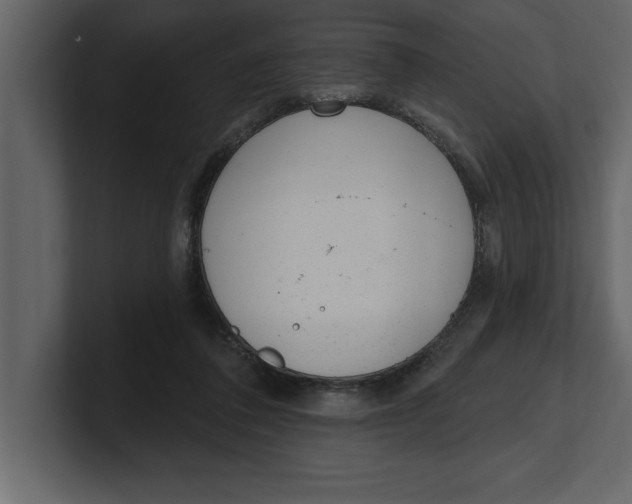 X0000100960308200807151404