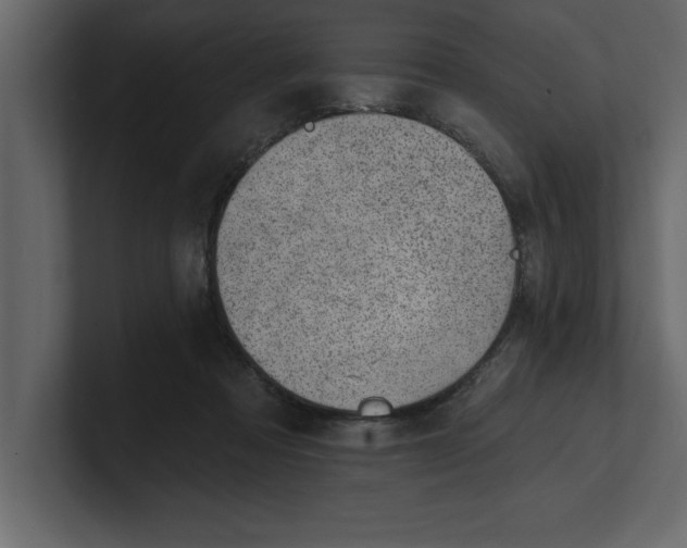 X0000100960313200807151404