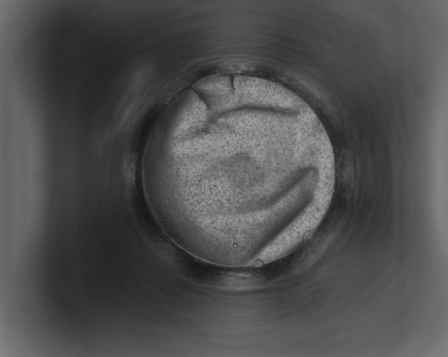 X0000100960315200807151404