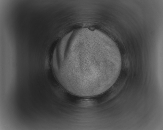 X0000100960316200807151404