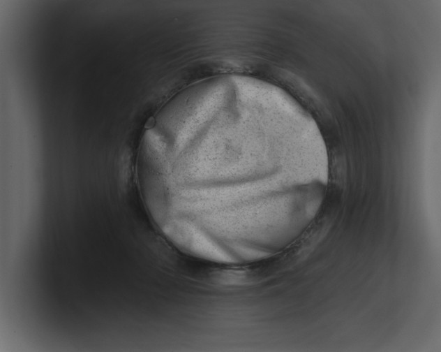 X0000100960318200807151404