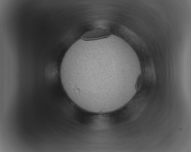 X0000100960320200807151404