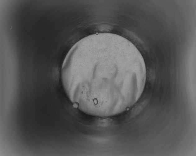 X0000100960321200807151404