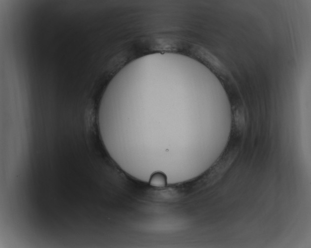 X0000100960322200807151404