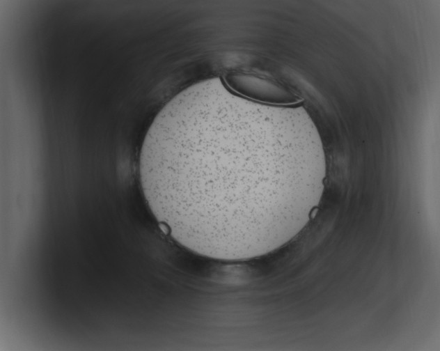 X0000100960324200807151404