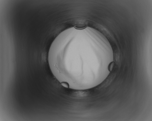 X0000100960326200807151404