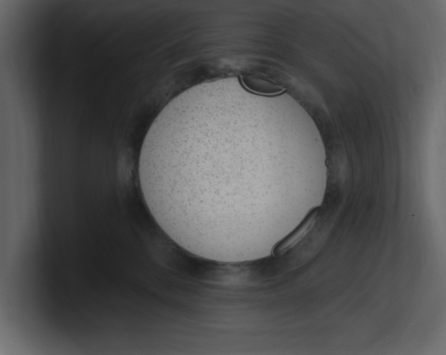 X0000100960328200807151404