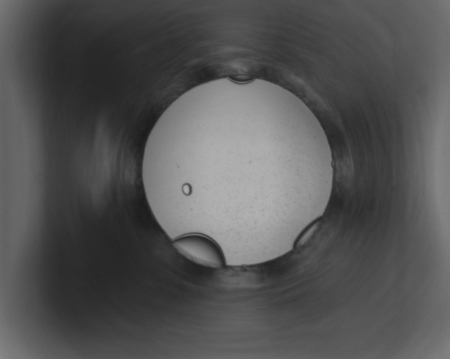 X0000100960331200807151404