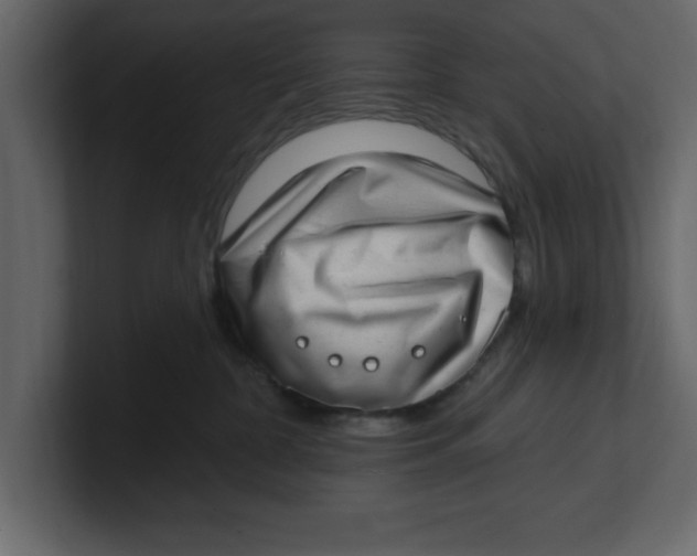 X0000100960332200807151404