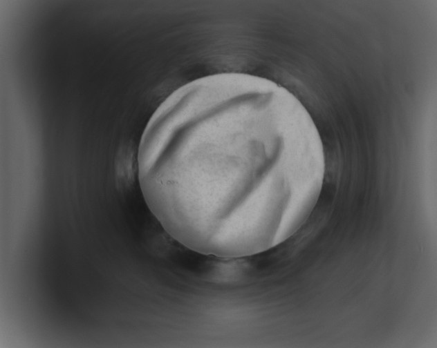 X0000100960334200807151404