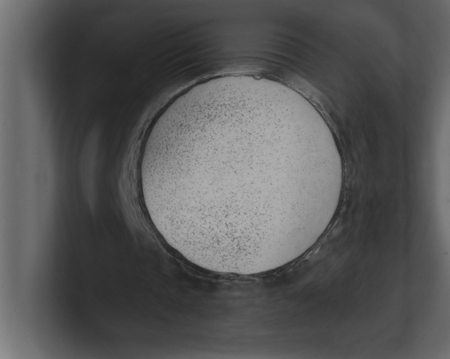 X0000100960337200807151403