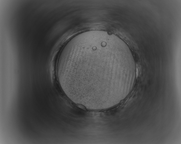 X0000100960339200807151403