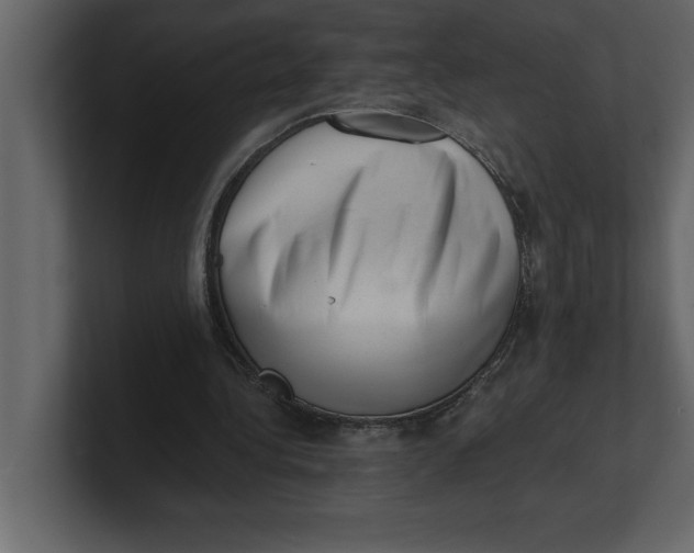 X0000100960340200807151403