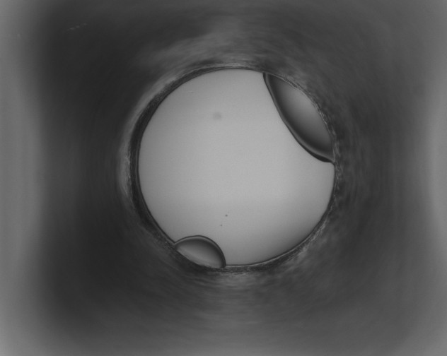 X0000100960342200807151403