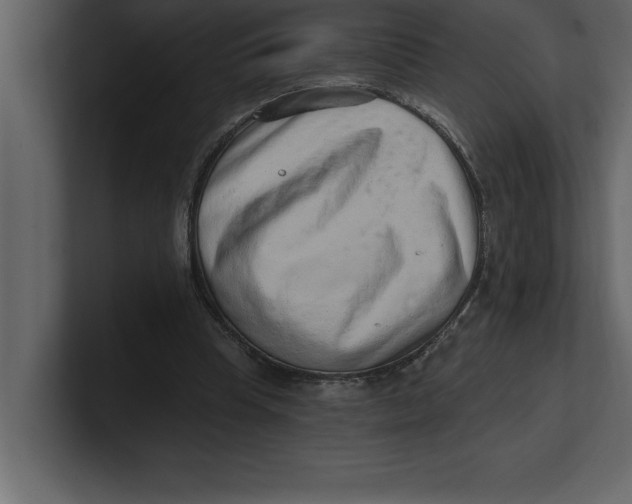 X0000100960345200807151403