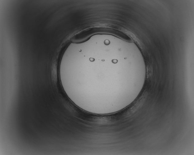 X0000100960349200807151403