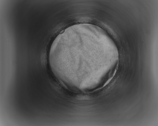 X0000100960354200807151403