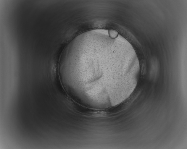 X0000100960363200807151403