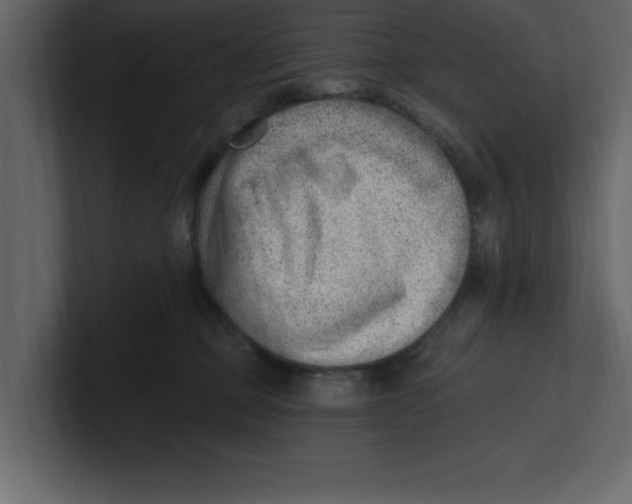 X0000100960373200807151403