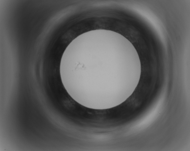 X0000100960382200807151403