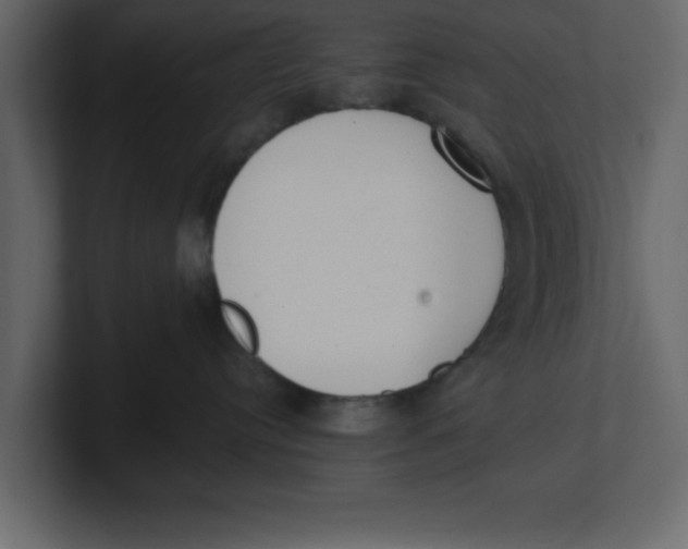 X0000100960384200807151403