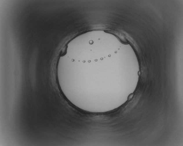 X0000100960385200807151403