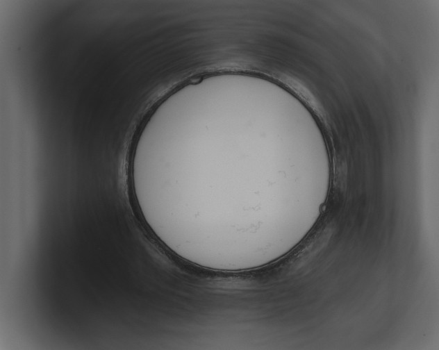 X0000100960389200807151403